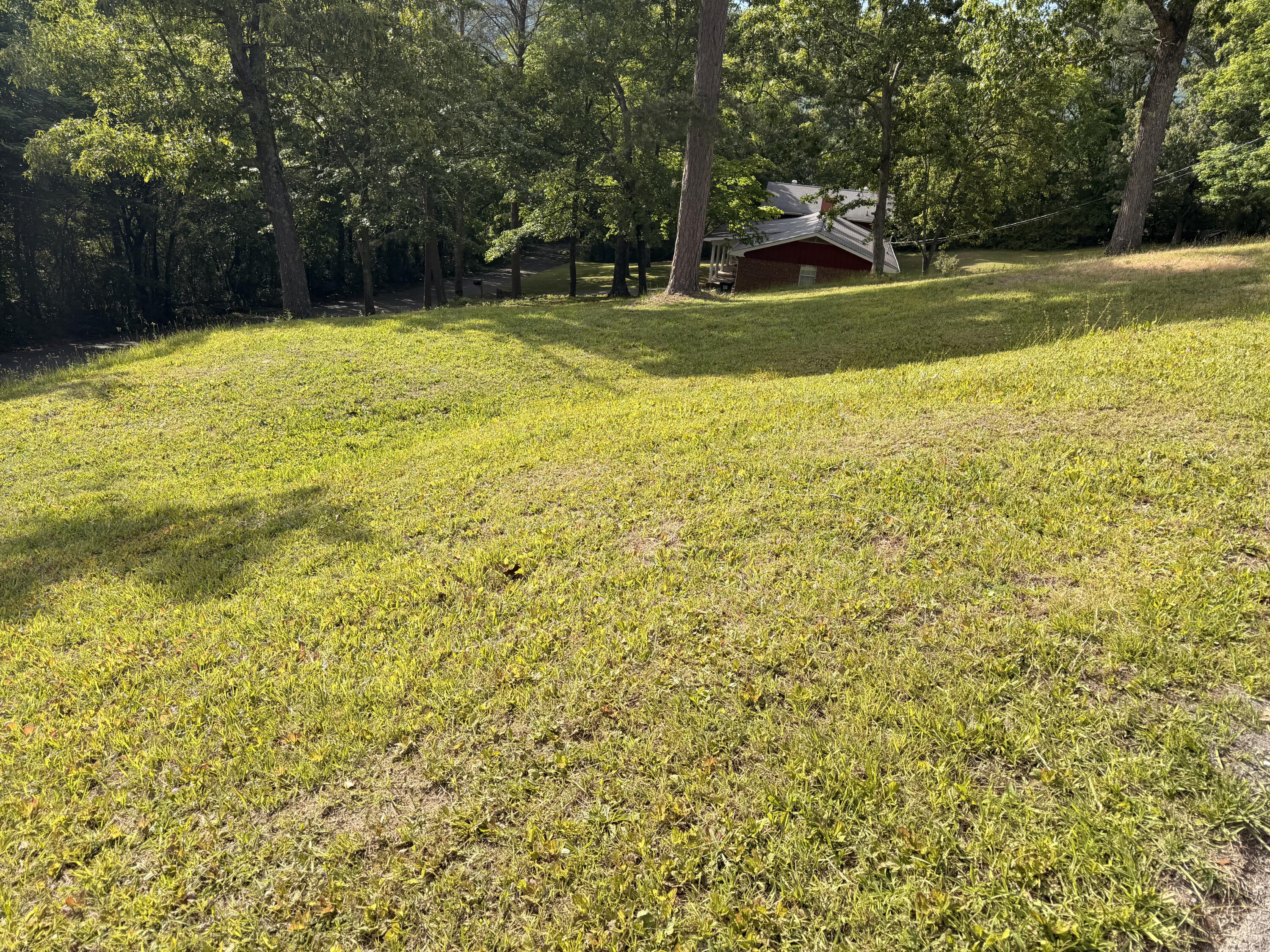 85 Bruce Green Road Dunlap, TN 37327 - Photo 29 of 32 IMG_0370