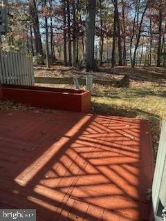 a view of a yard with trees