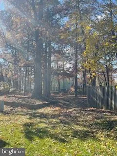 a view of a yard with a tree