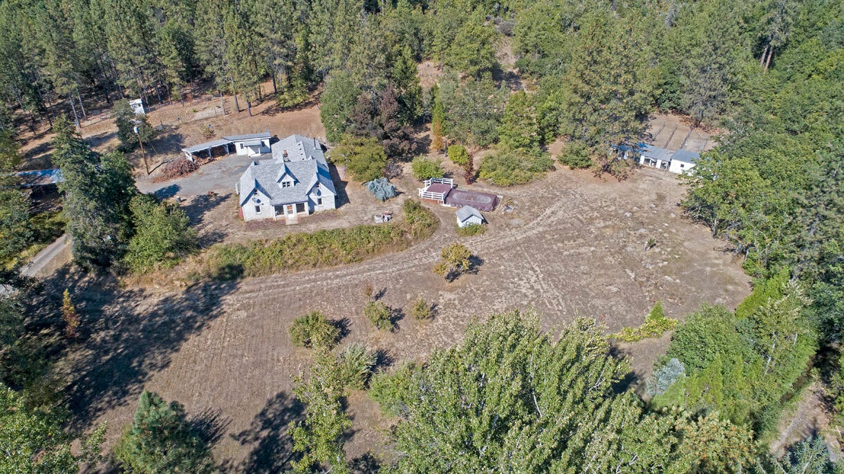 1040 Garner Road Cave Junction, OR 97523 - Photo 46 of 50 Orchard