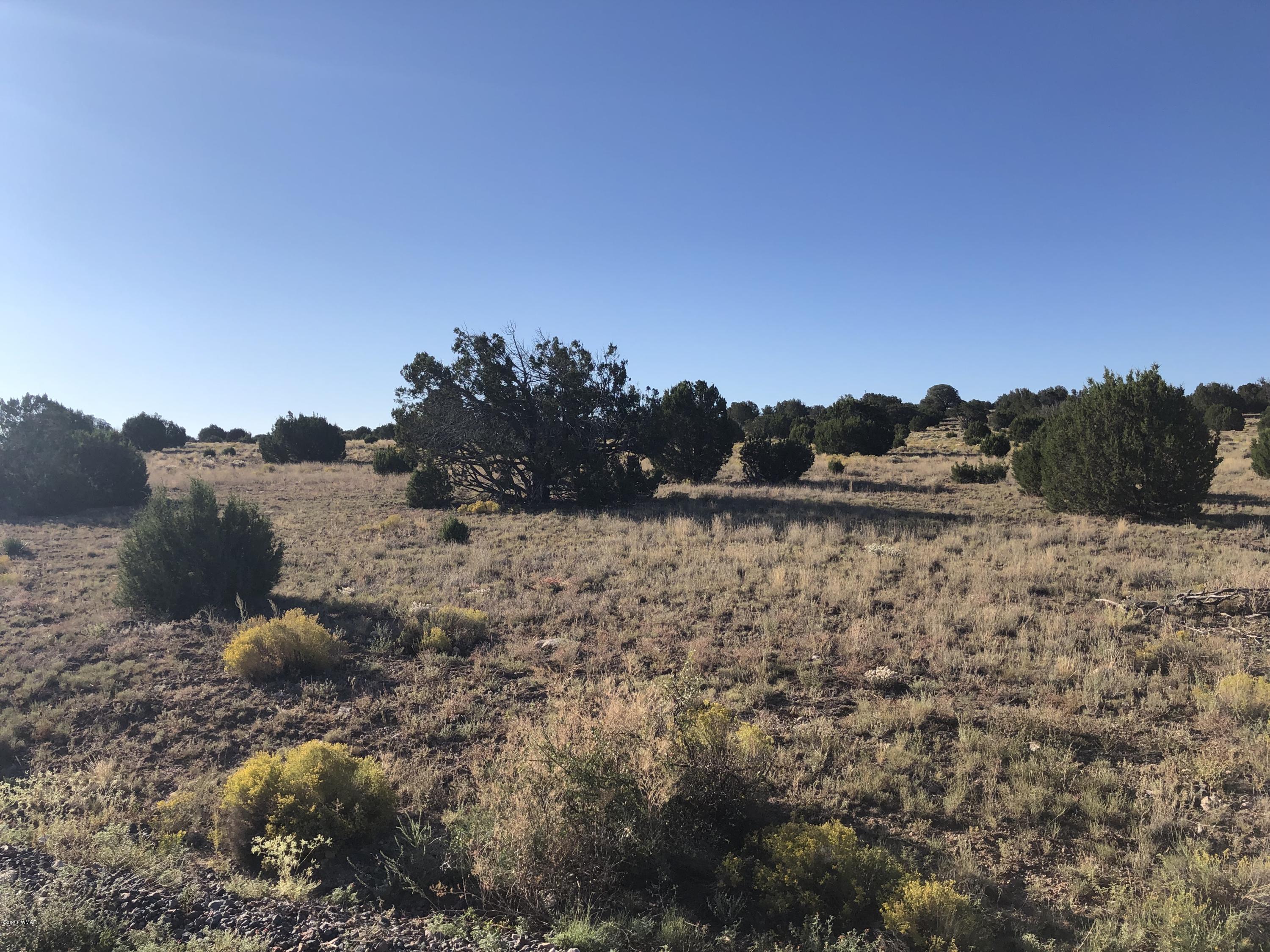 Lot 79th, Lot 79th Concho, AZ 85924 - Photo 2 of 3