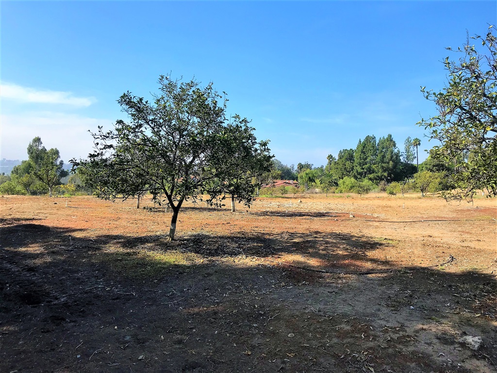 Los Morros Rancho Santa Fe Ca Rancho Santa Fe, CA 92067 - Photo 2 of 3