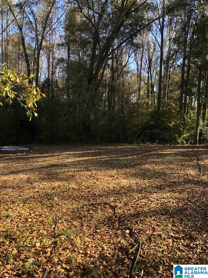 3159 County Road 9 Clanton, AL 35045 - Photo 8 of 32