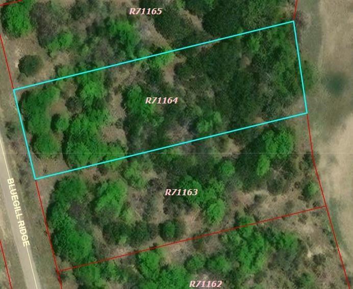 1015 Bluegill Ridge Bluff Dale, TX 76433 - Photo 3 of 19