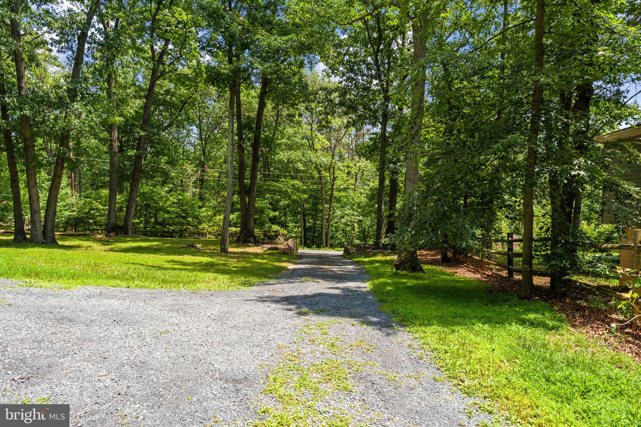 111 Geronimo Trail Winchester, VA 22602 - Photo 4 of 43 Surrounded by beautiful towering trees