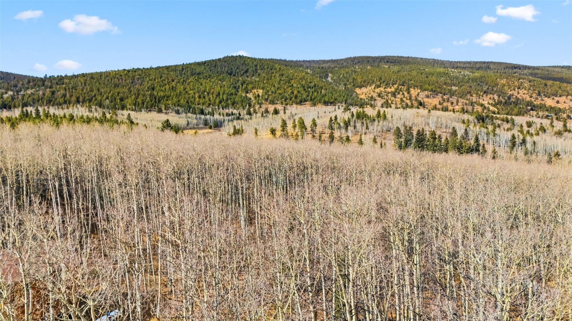 1097 High Creek Road Fairplay, CO 80440 - Photo 5 of 19 Mountain view with a forest