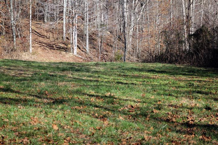 1916 Caudill Road Stanton, KY 40380 - Photo 2 of 13 Photo 2