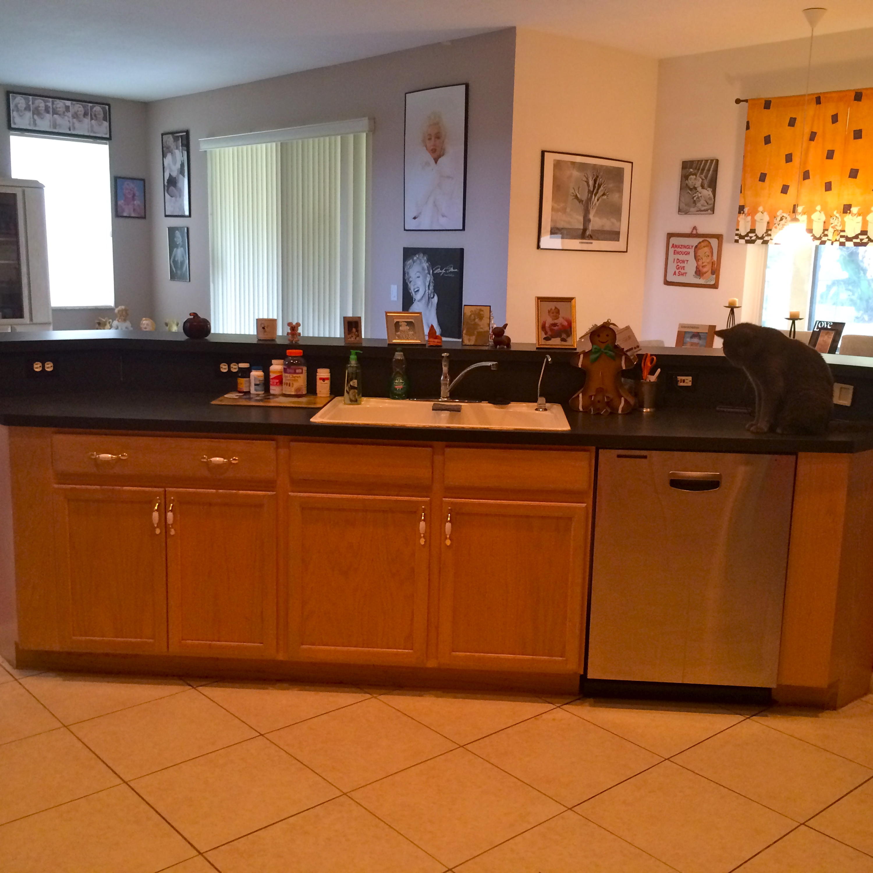 1282 Pebble Ridge Lane West Palm Beach, FL 33411 - Photo 12 of 42 kitchentofr