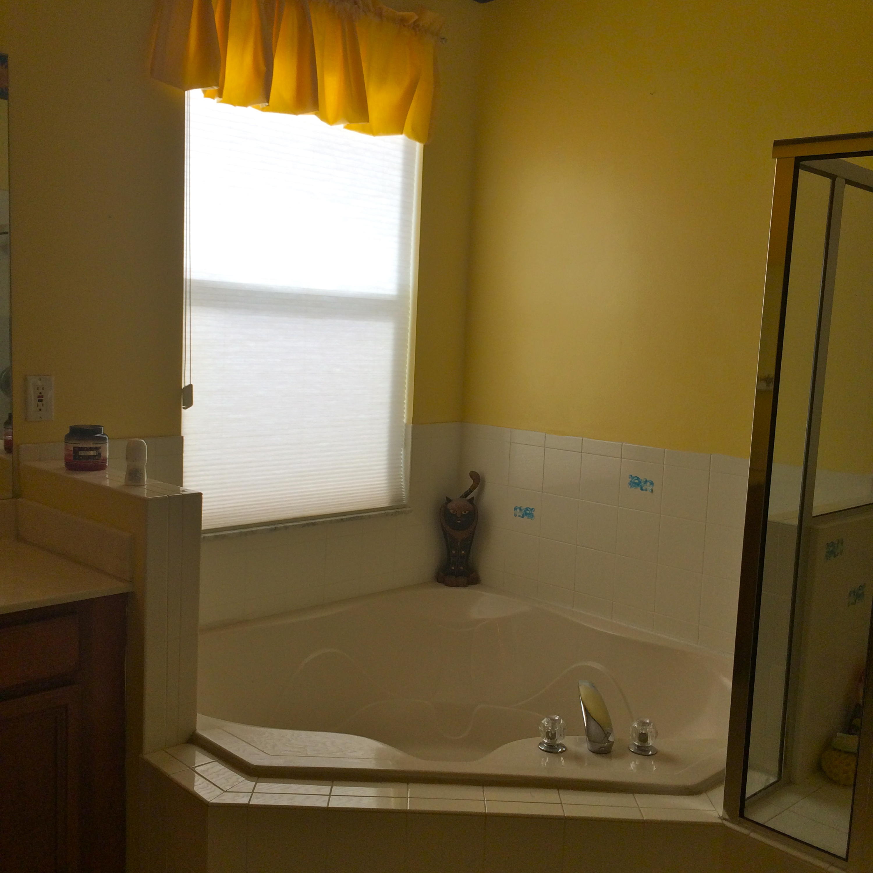1282 Pebble Ridge Lane West Palm Beach, FL 33411 - Photo 25 of 42 mastertub