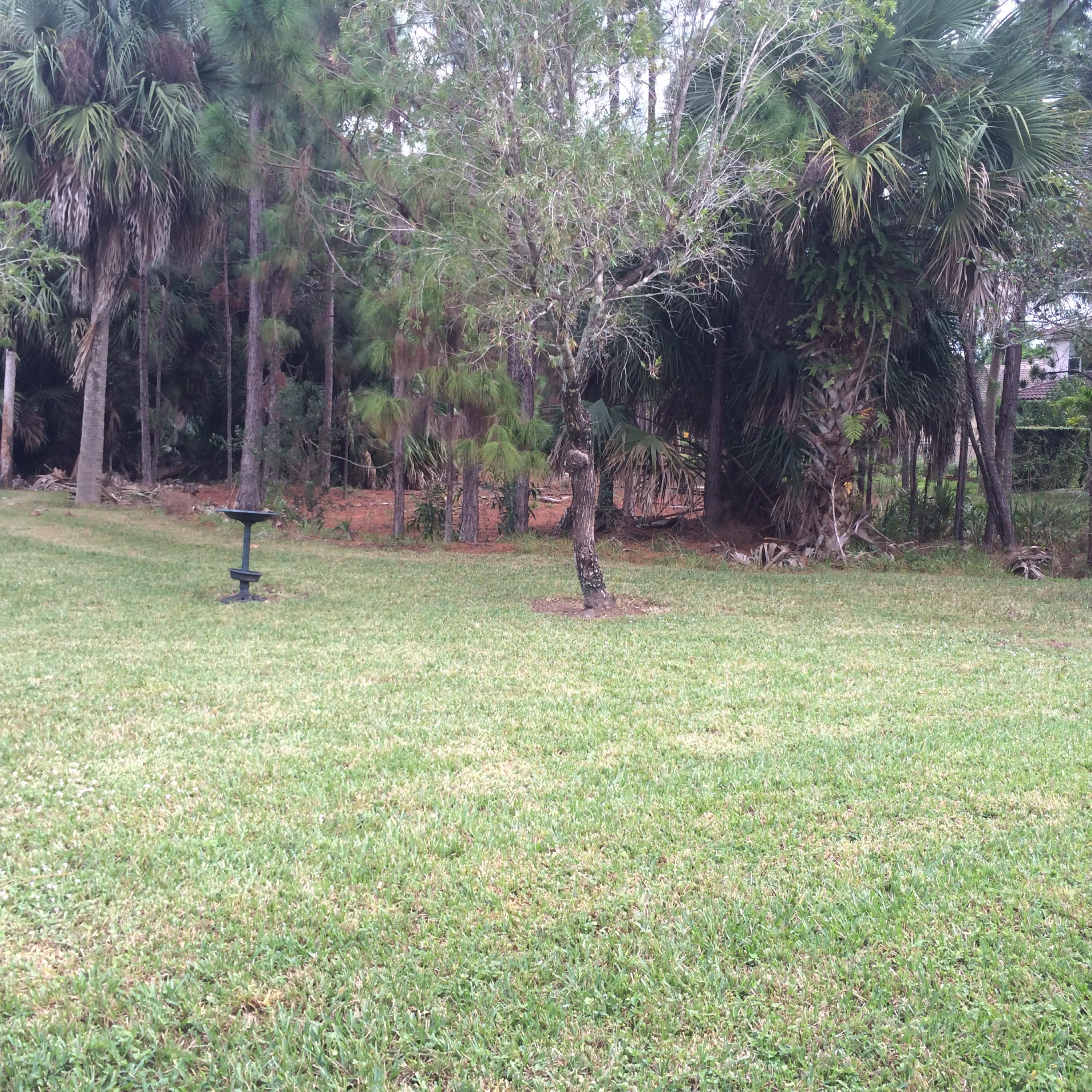 1282 Pebble Ridge Lane West Palm Beach, FL 33411 - Photo 39 of 42 rear yard
