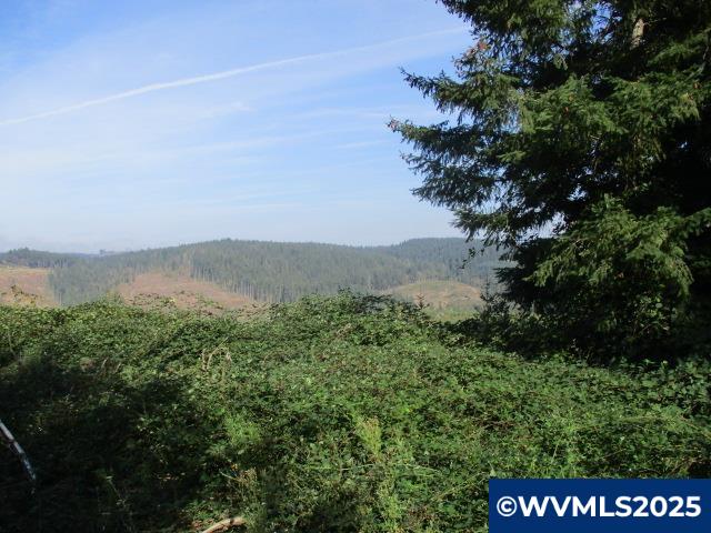 Lot 900-901 Hazelnut Ridge Road Scotts Mills, OR 97375 - Photo 20 of 23 Gallery Image 20