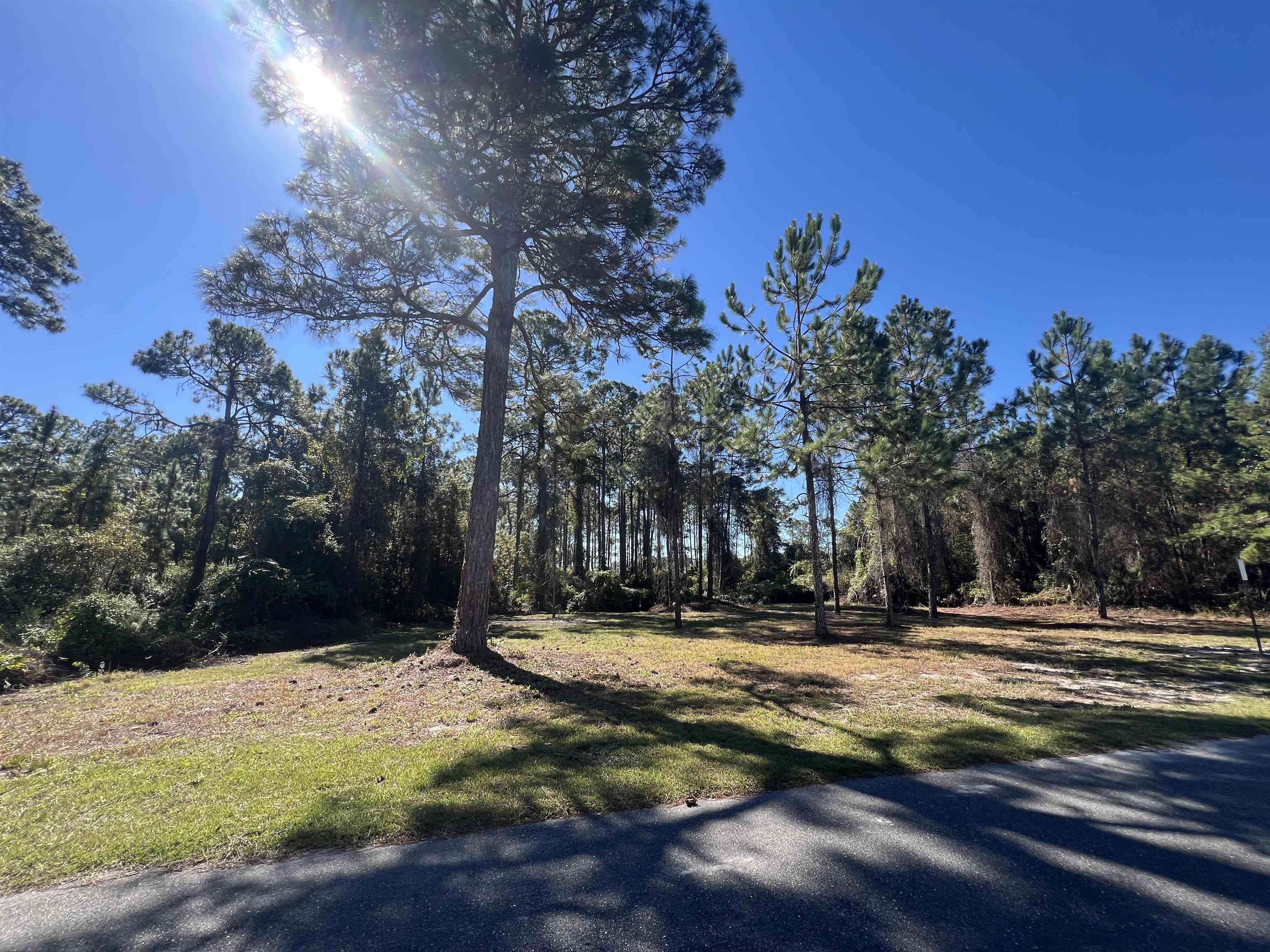 711 Northeast Ne Avenue Carrabelle, FL 32322 - Photo 15 of 19