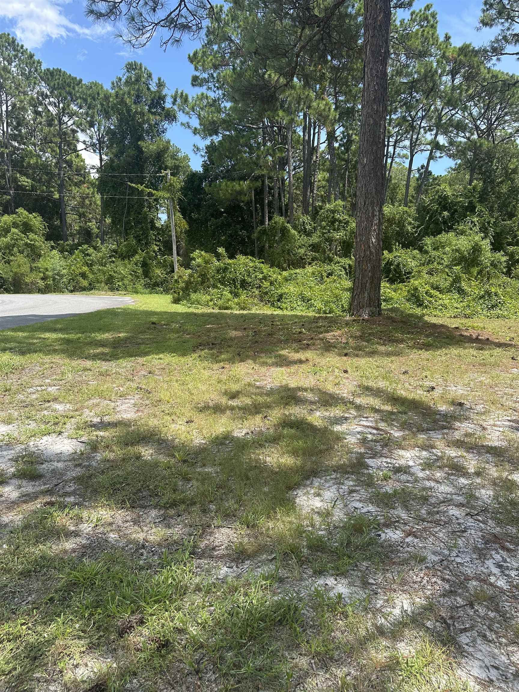 711 Northeast Ne Avenue Carrabelle, FL 32322 - Photo 8 of 19