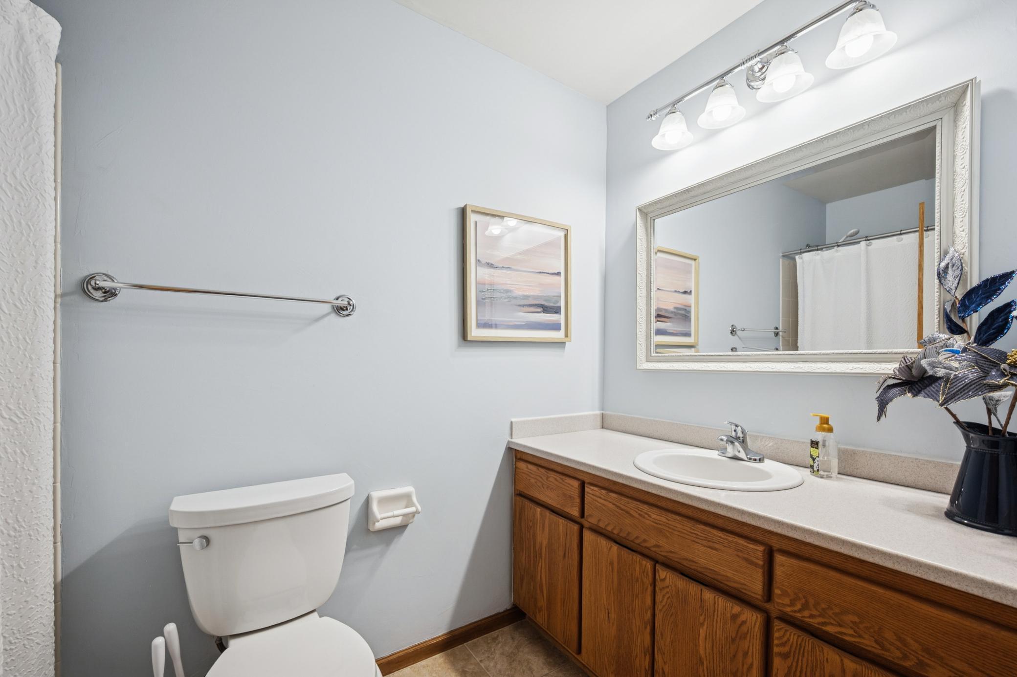 13526 Daisy Court Rosemount, MN 55068 - Photo 20 of 48