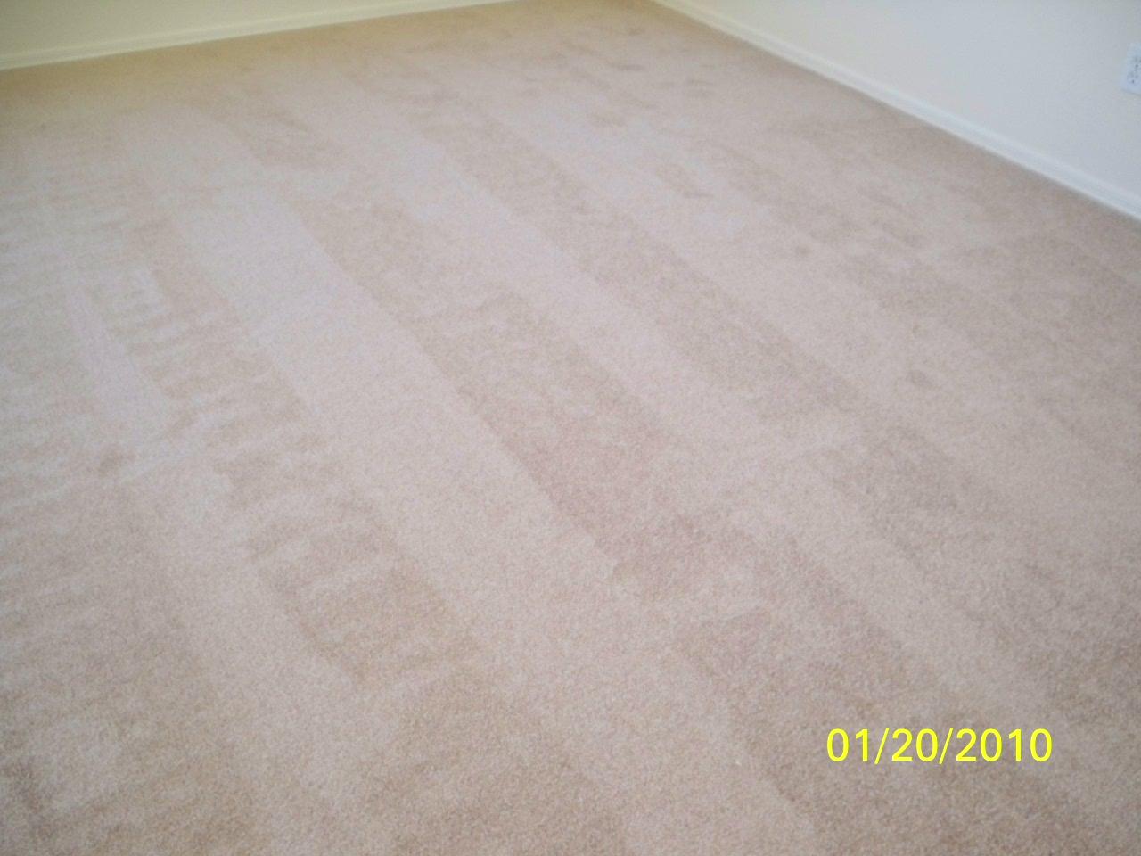 7416 West Cordes Road Phoenix, AZ 85043 - Photo 8 of 10 NEW CARPET
