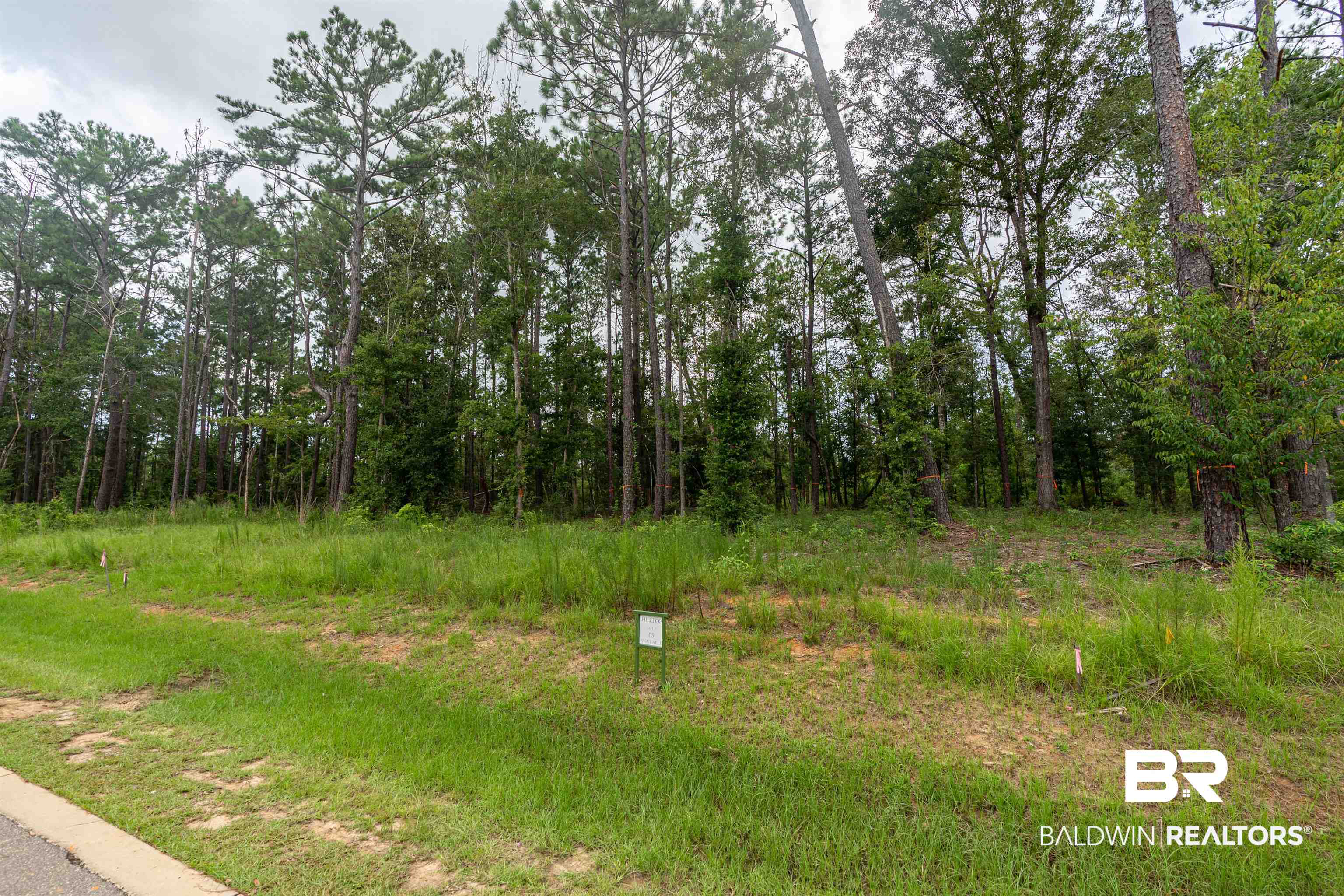 Lot 13 Petiole Drive Fairhope, AL 36532 - Photo 2 of 15