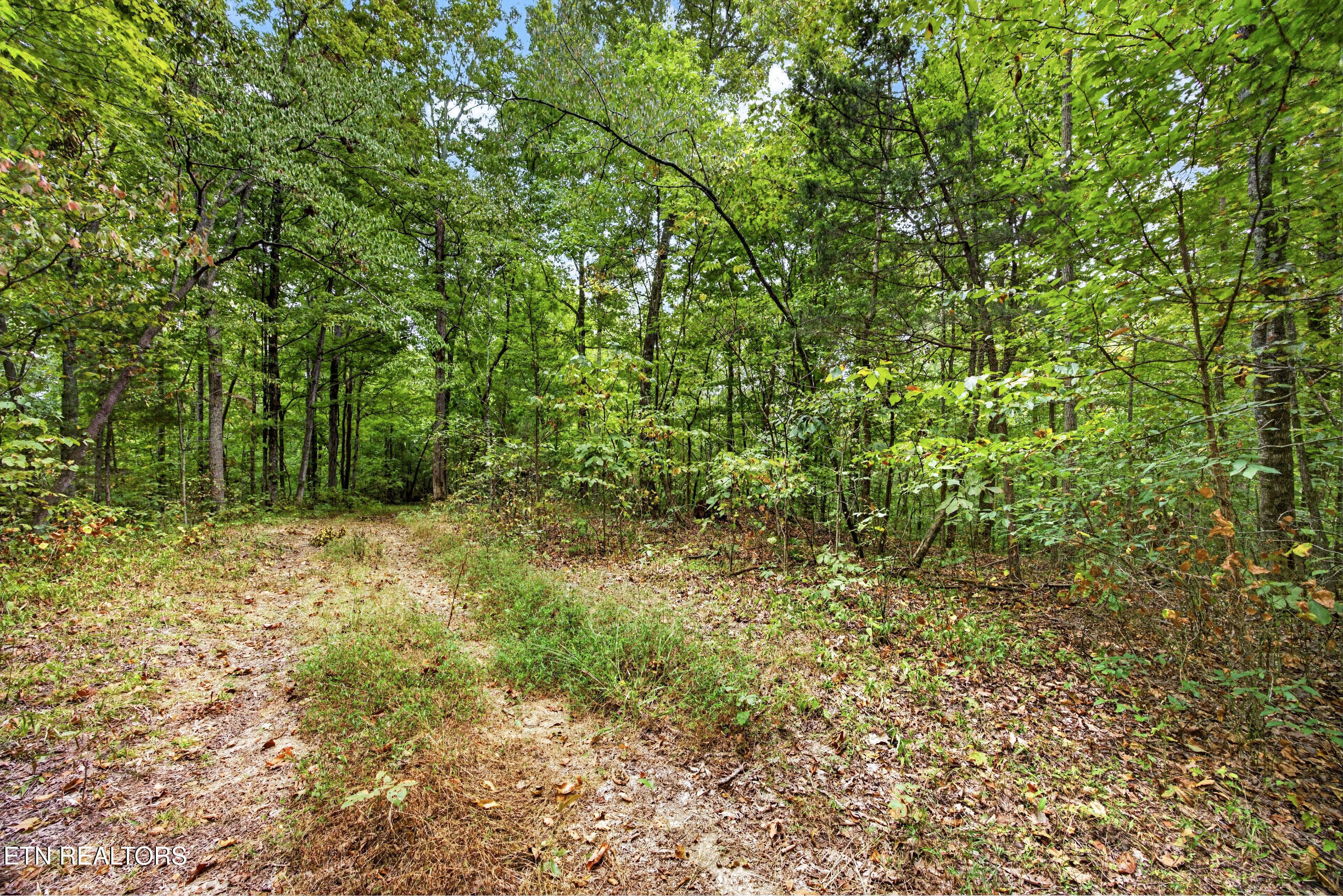 Lot 23 Timber Ridge Lane Celina, TN 38551 - Photo 3 of 12 2-8N5A6511