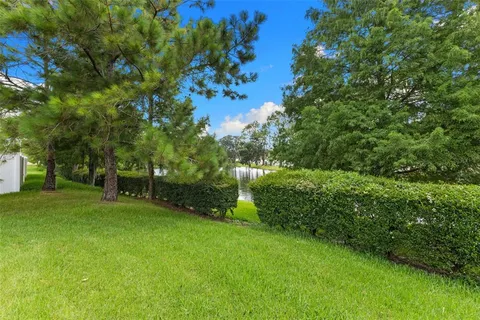 a view of a trees with a yard