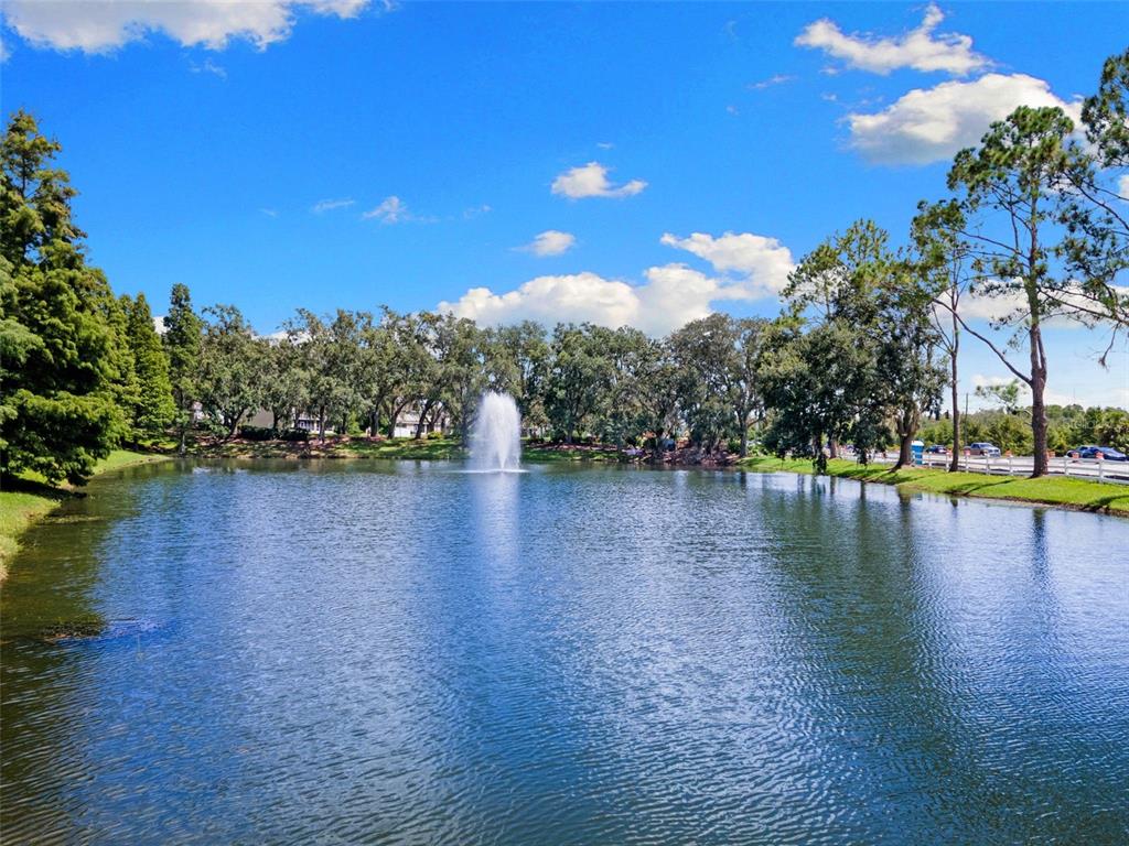 3240 Macintosh Road Land O Lakes, FL 34639 - Photo 31 of 32 a view of a lake with houses