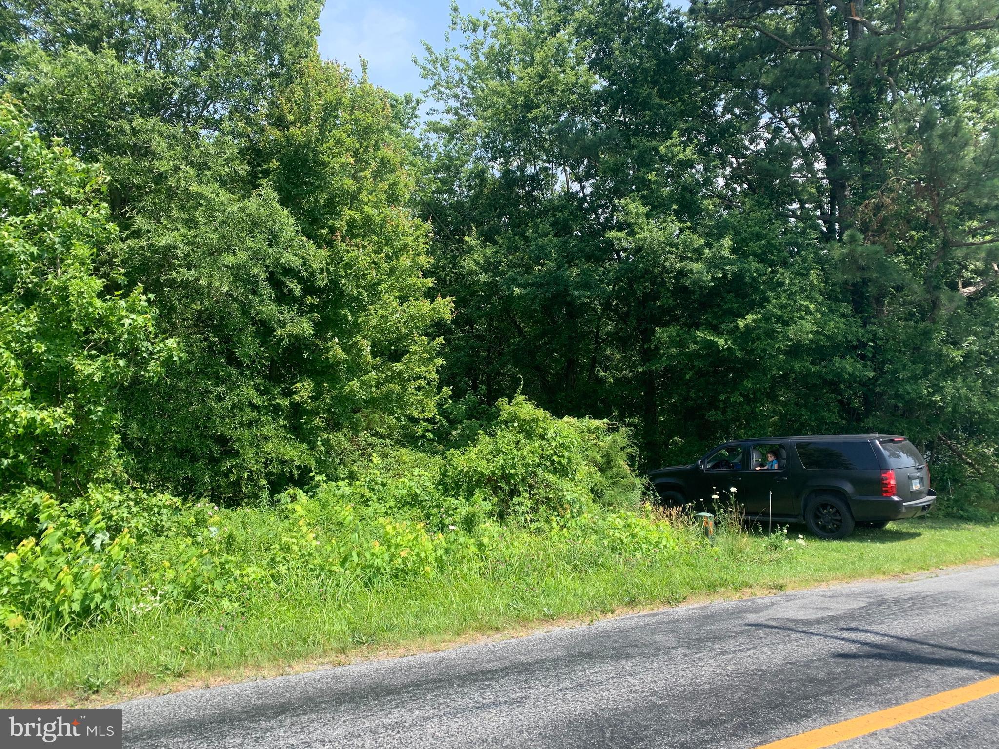 Eveland Road Ridgely, MD 21660 - Photo 2 of 5 Gallery Image 2