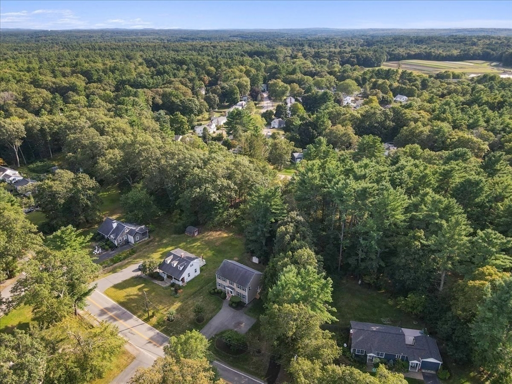 37 Forest Road Millis, MA 02054 - Photo 42 of 42