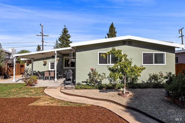 a view of a backyard with plants and a tree