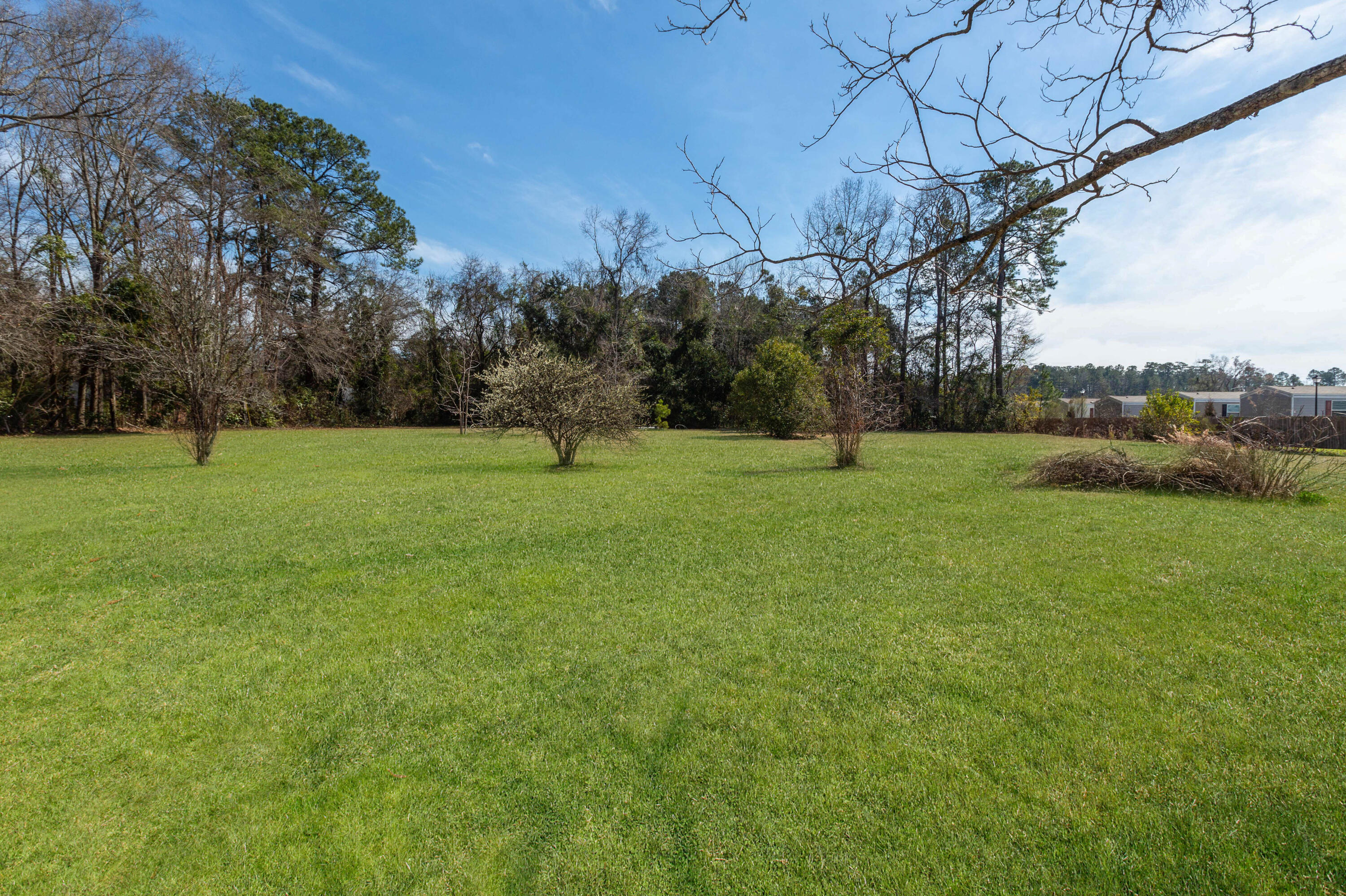 126 North N Highway Moncks Corner, SC 29461 - Photo 23 of 45 126 N Hwy 52 Grass Retouch_Brett Martin