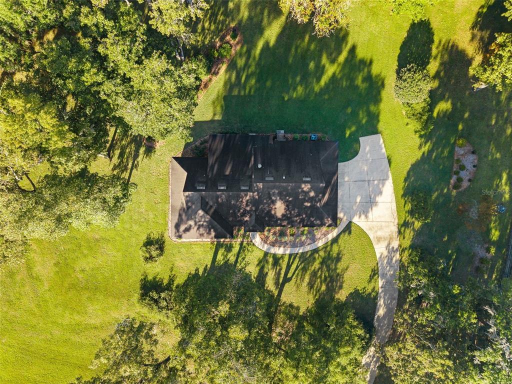 11606 Northwest 120th Terrace Alachua, FL 32615 - Photo 43 of 46 a view of a yard with plants