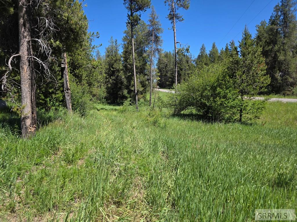4585 East 1400 Road North Ashton, ID 83420 - Photo 20 of 31
