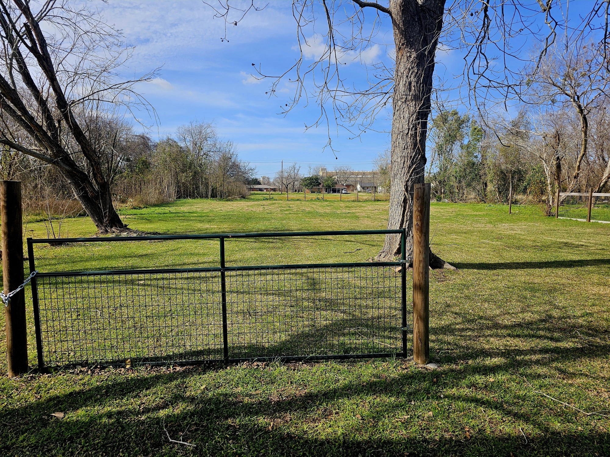 605 Branch Street Wharton, TX 77488 - Photo 3 of 5