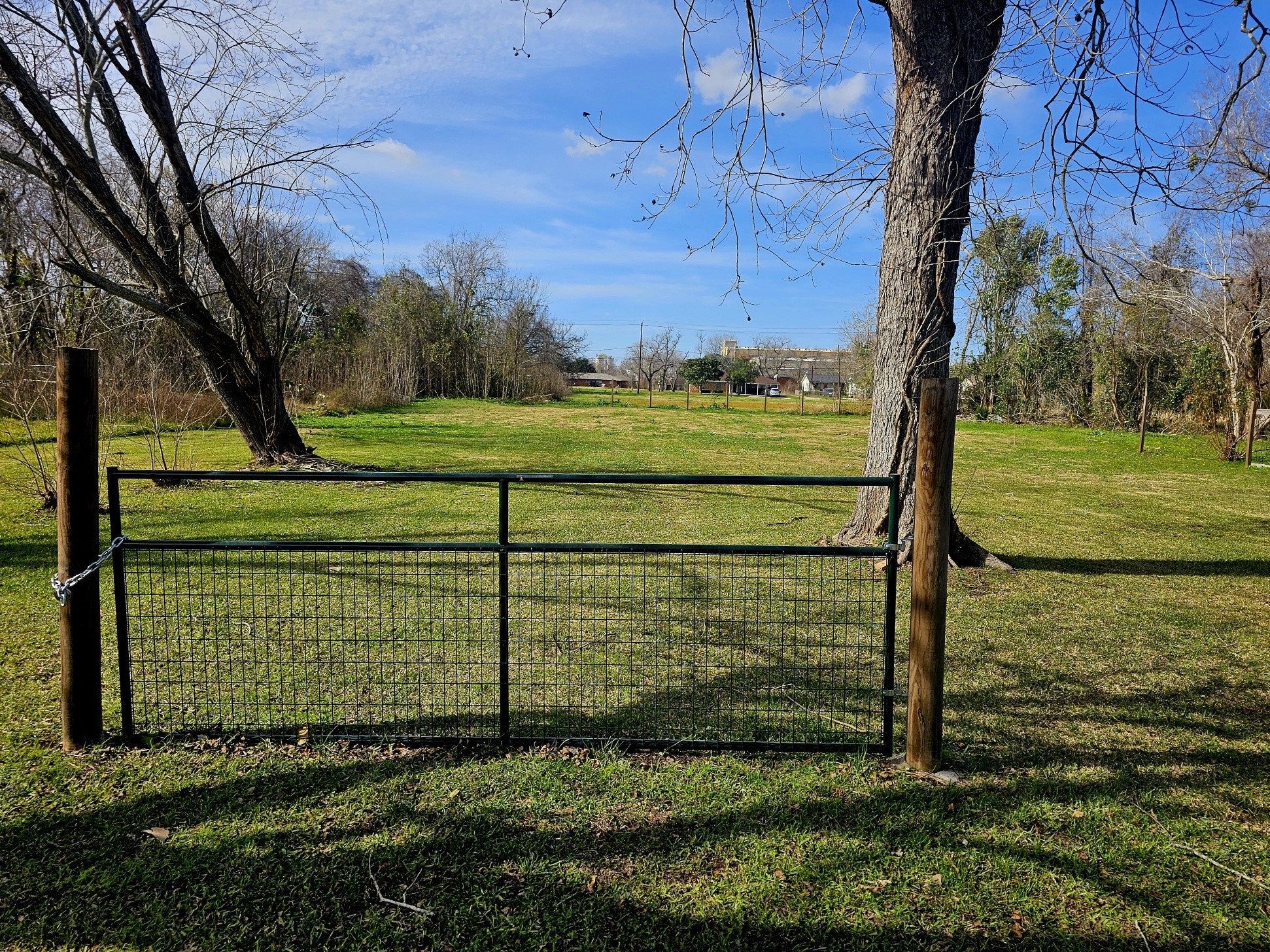 605 Branch Street Wharton, TX 77488 - Photo 4 of 5