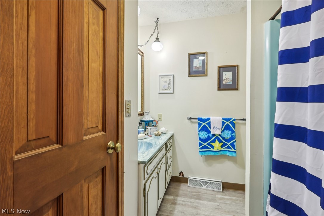 2919 South Ridge Road East Ashtabula, OH 44004 - Photo 16 of 50 Bathroom with hardwood / wood-style flooring, vanity, and a textured ceiling