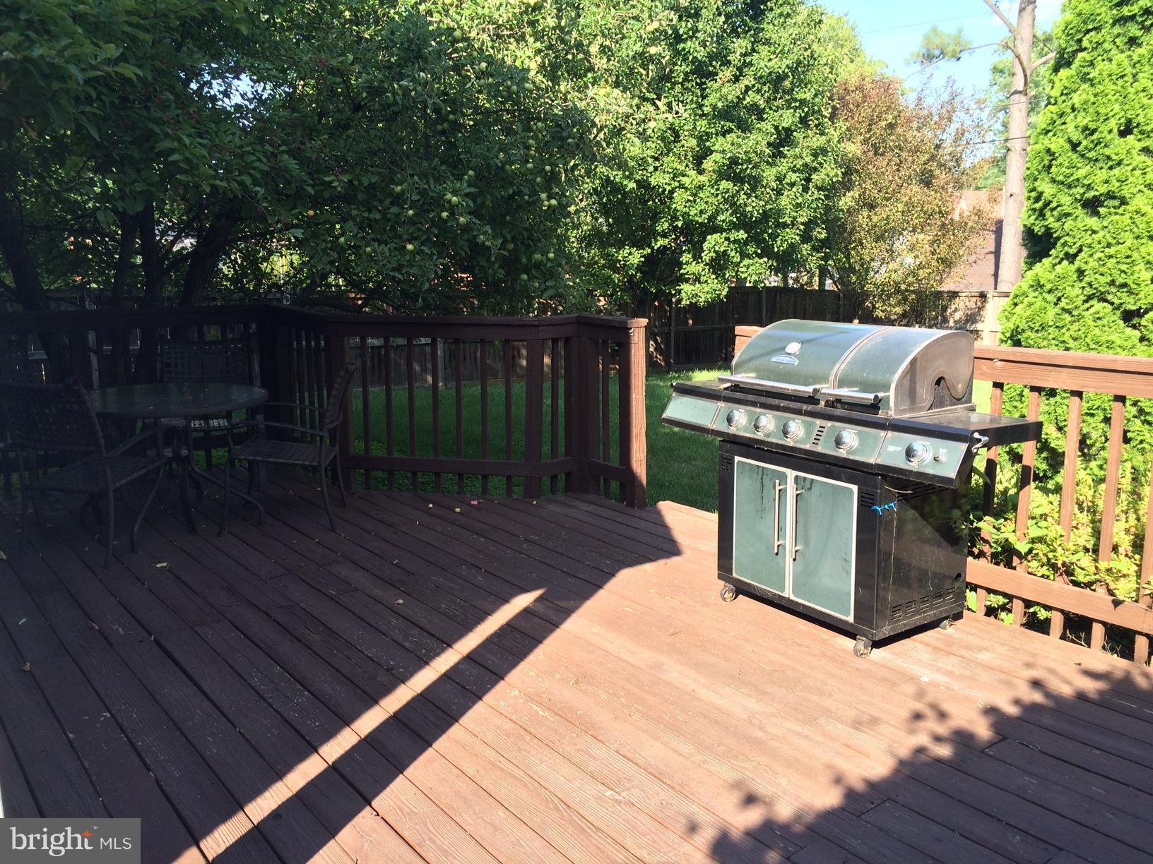 3403 Pinkney Road Baltimore, MD 21215 - Photo 18 of 20 Deck