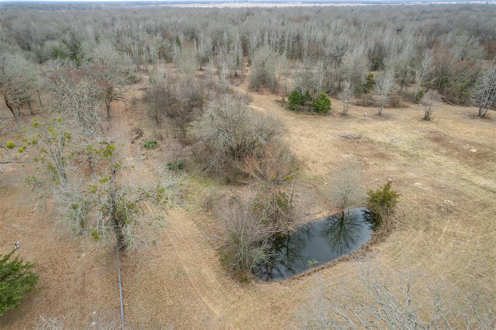 139 Northwest County Road, Unit 1061 Talco, TX 75487 - Photo 14 of 39 a view of a dry yard with trees