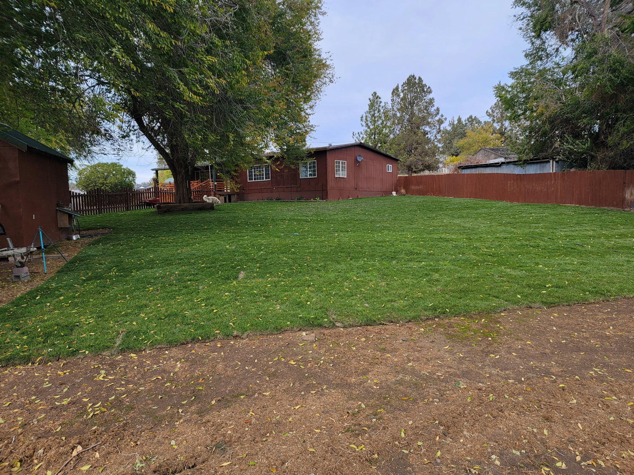 1940 Dobbs Road Prineville, OR 97754 - Photo 24 of 31 IMG_20251023_081559 (2)