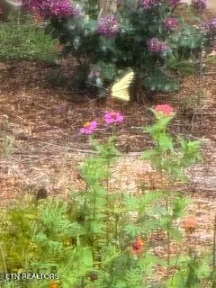 $499,000 | 145 Chahyga Way, Loudon, TN 37774