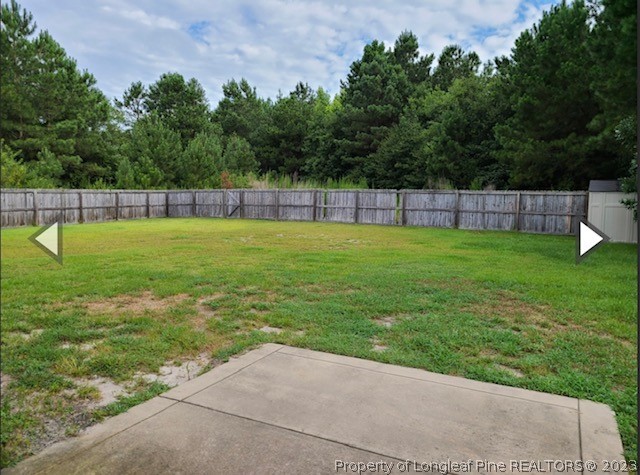 141 Roanoke Drive Raeford, NC 28376 - Photo 15 of 16 a view of a backyard with a small yard