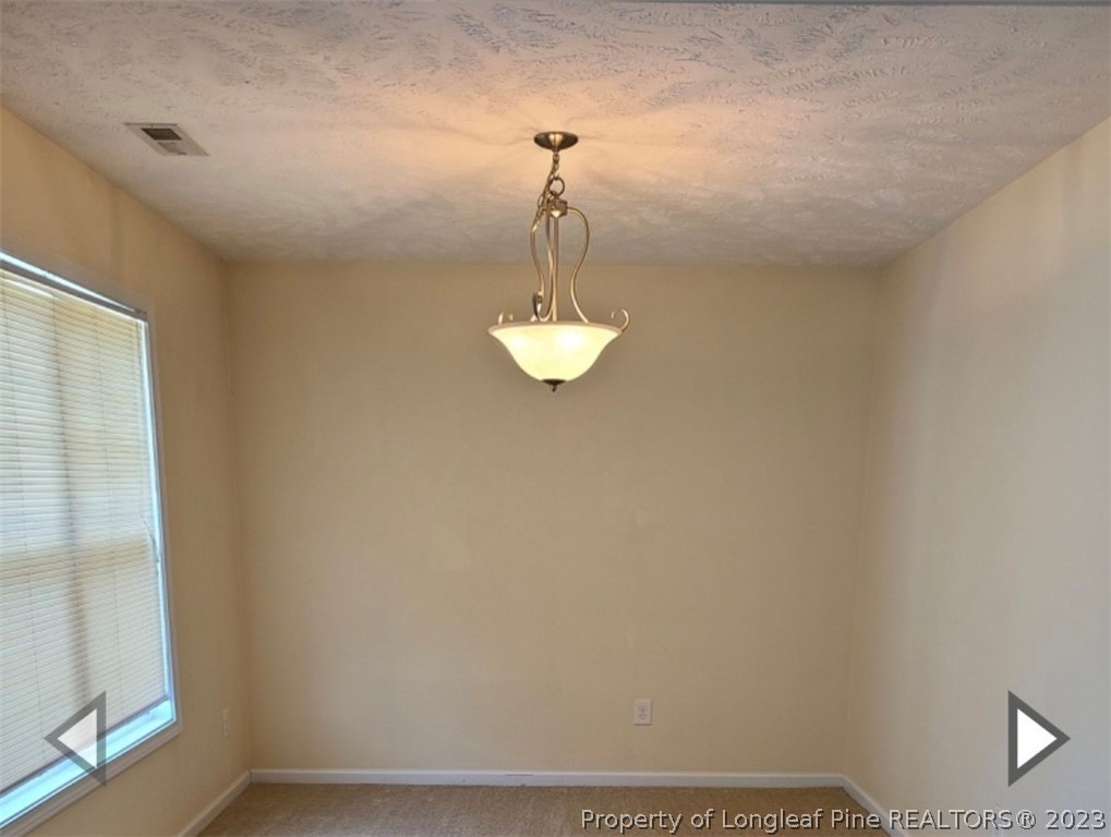 141 Roanoke Drive Raeford, NC 28376 - Photo 4 of 16 a close view of light fixtures and wooden floor