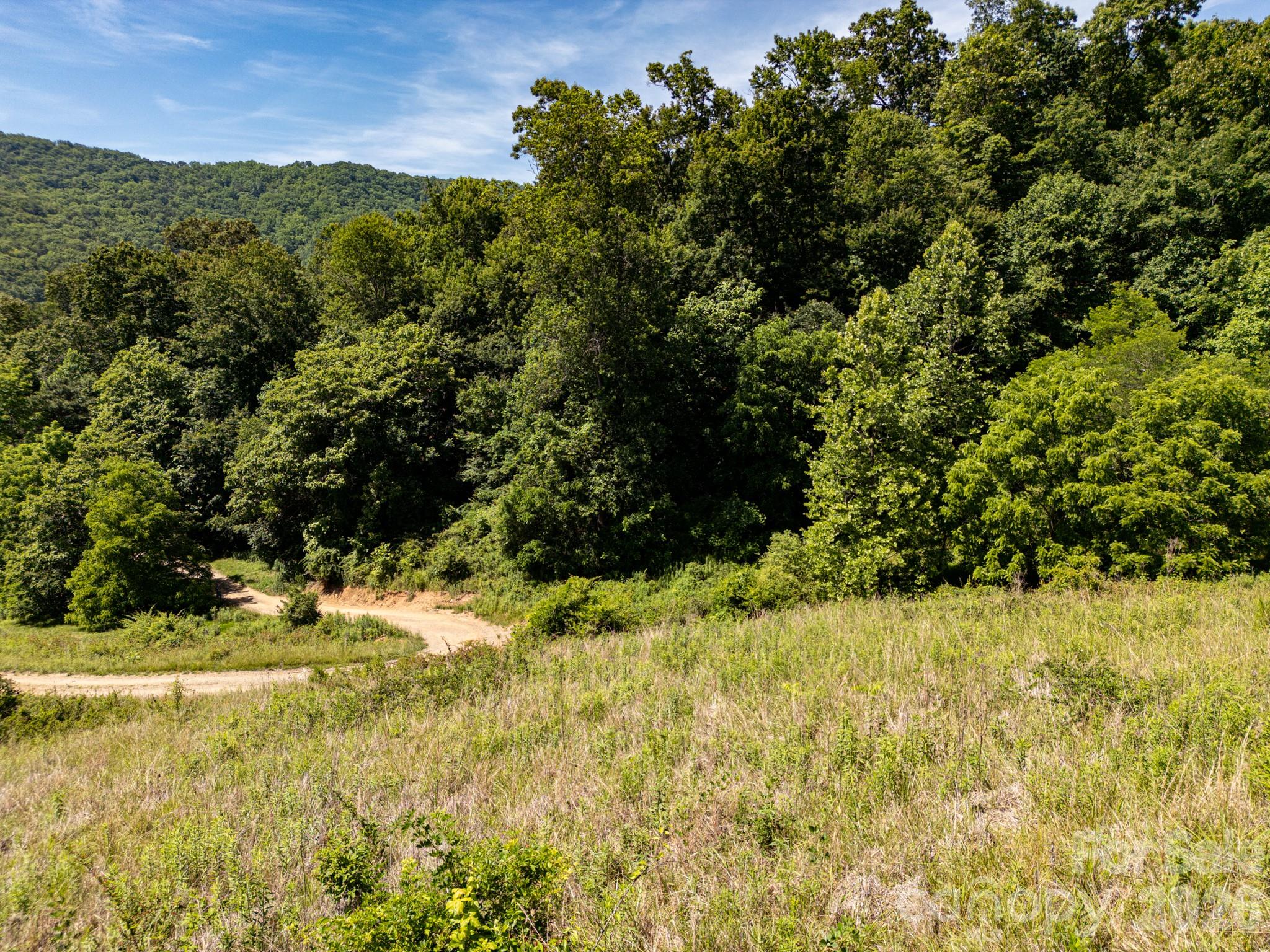 999 Murphy Cove Road Candler, NC 28715 - Photo 21 of 48