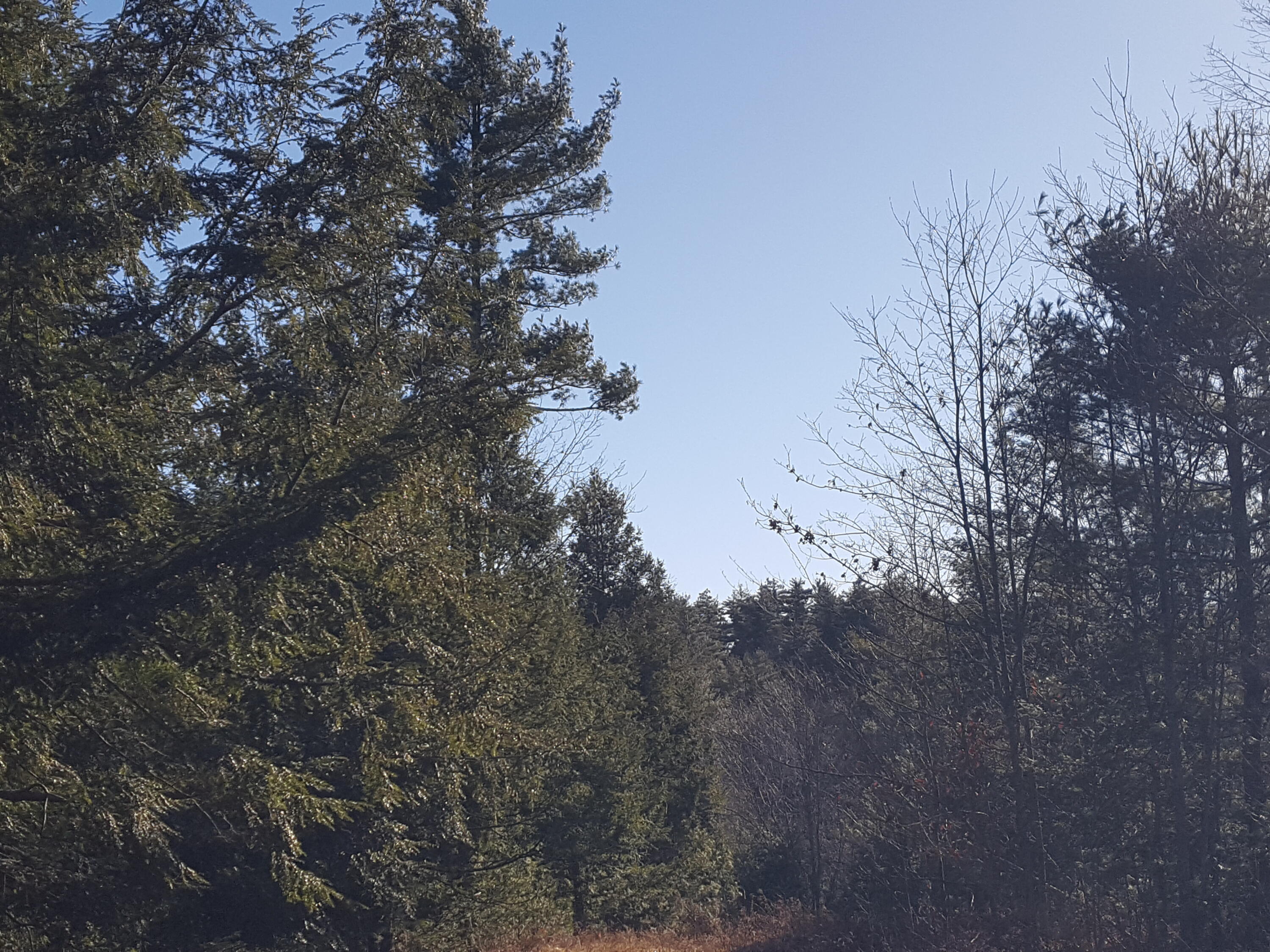 88 Mitchell Hill Road Gorham, ME 04038 - Photo 91 of 99 20231220_123016