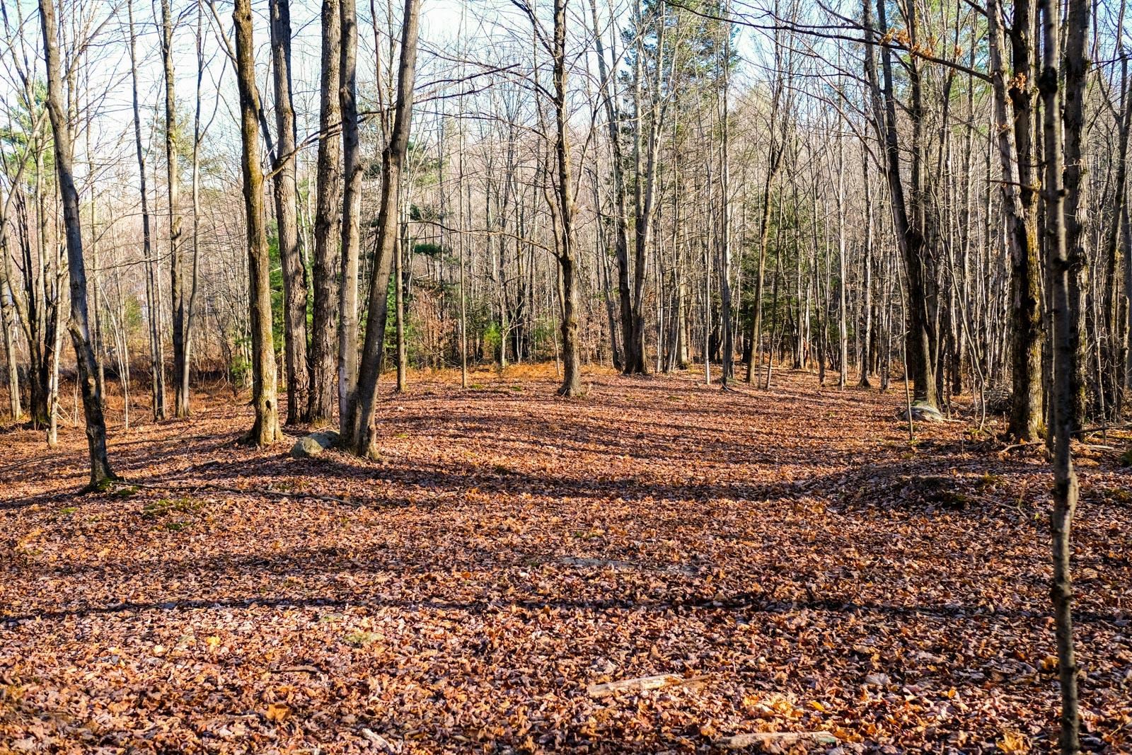 Lot 4 Hill Road, Unit 4 Fairfield, VT 05455 - Photo 5 of 15