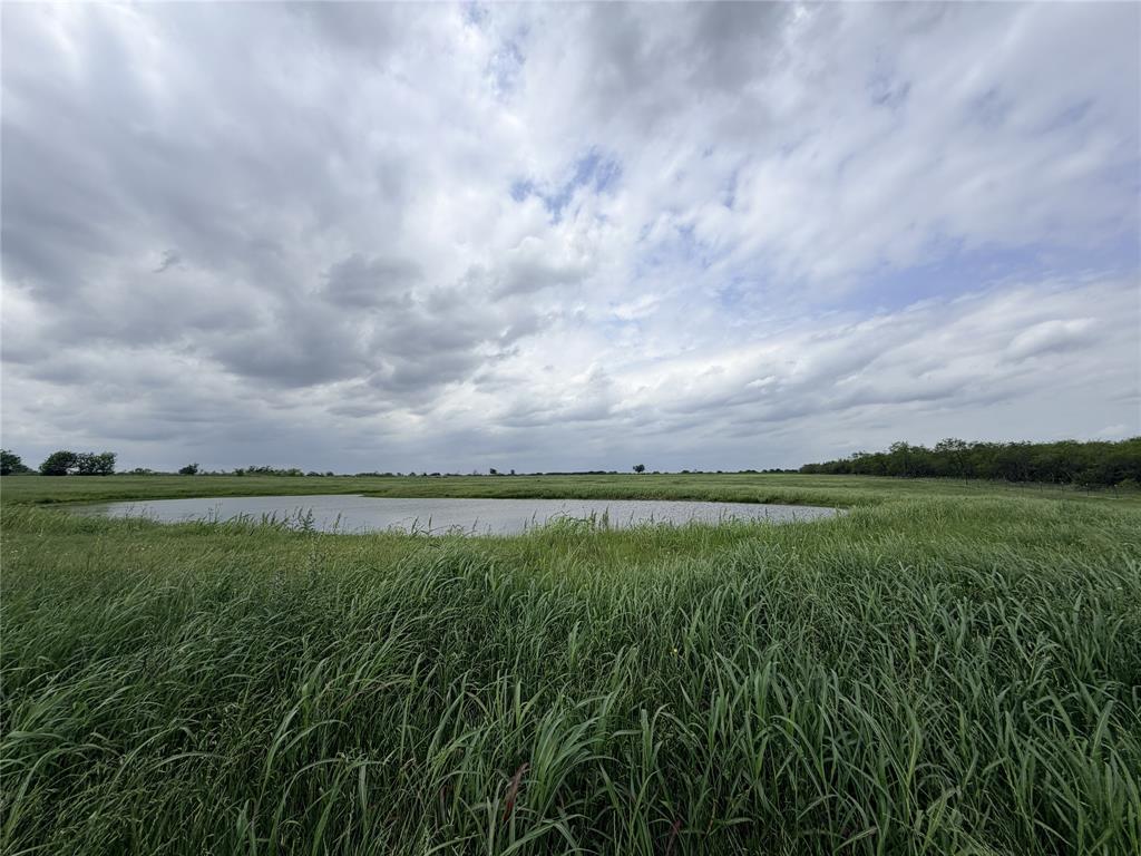 192 FM 1183 Alma, TX 75119 - Photo 4 of 33