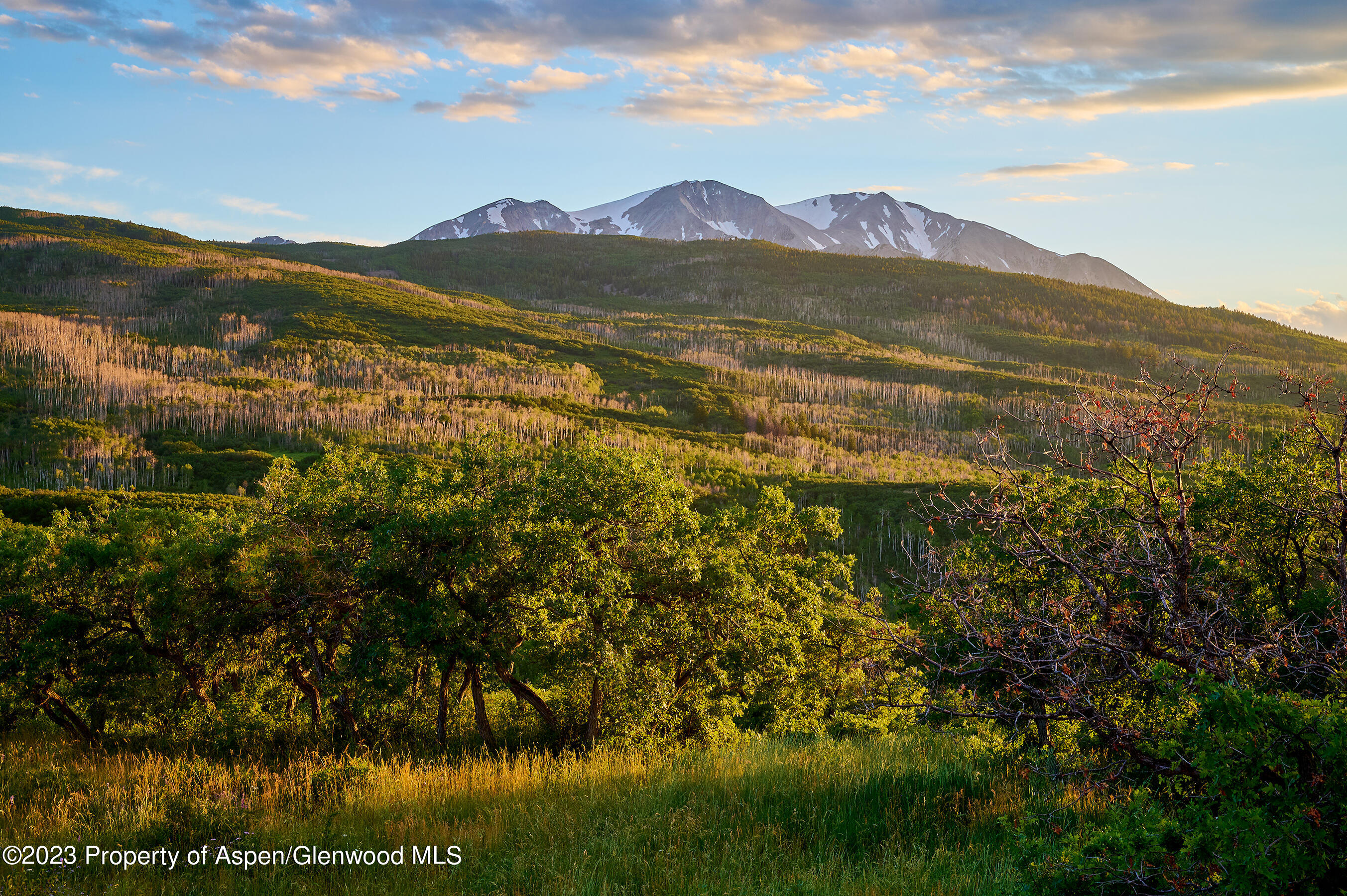 4001 Bear Ridge Road Basalt, CO 81621 - Photo 20 of 35 a view of lake with mountain