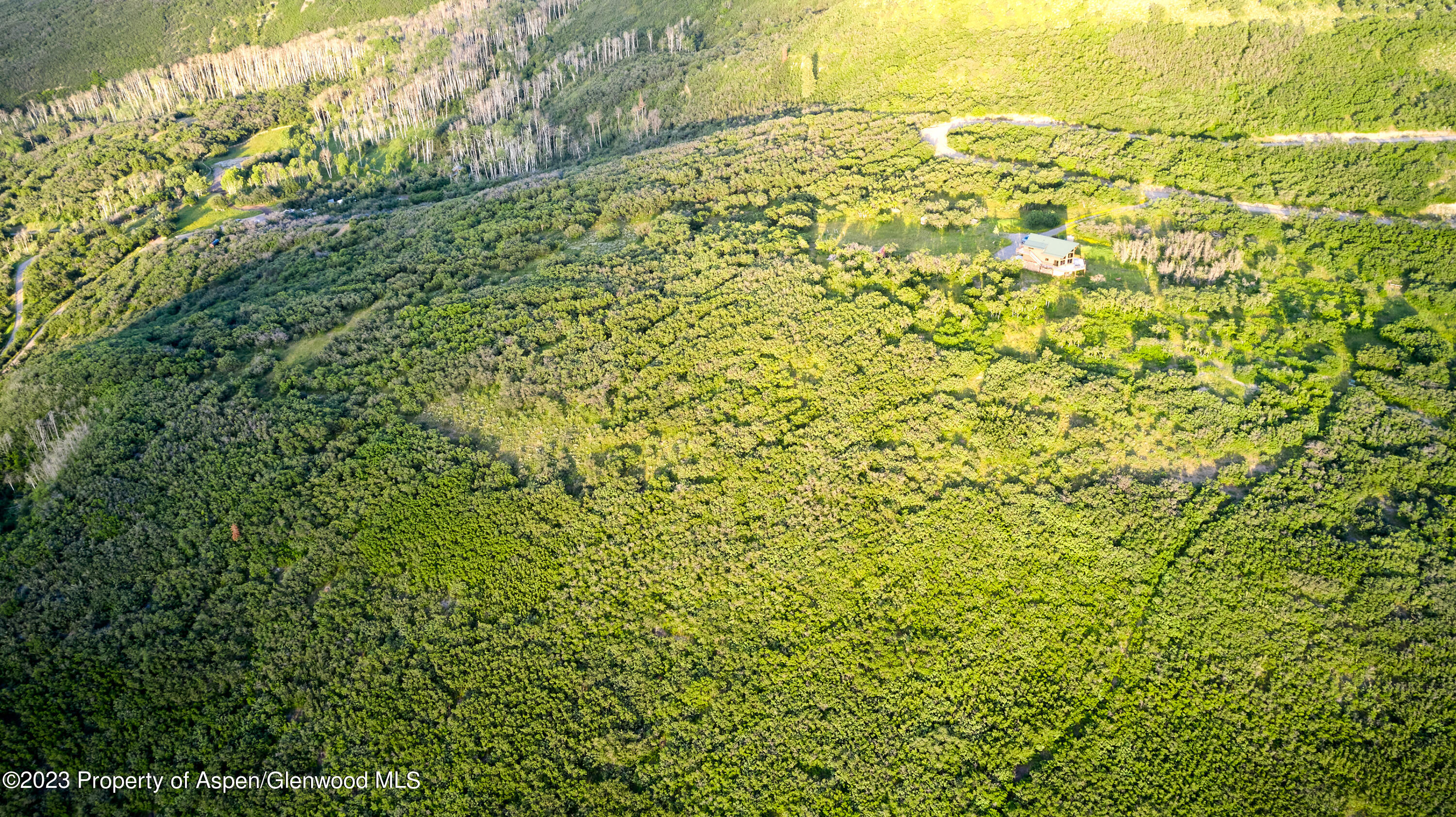4001 Bear Ridge Road Basalt, CO 81621 - Photo 31 of 35 a view of a big yard with lots of green space