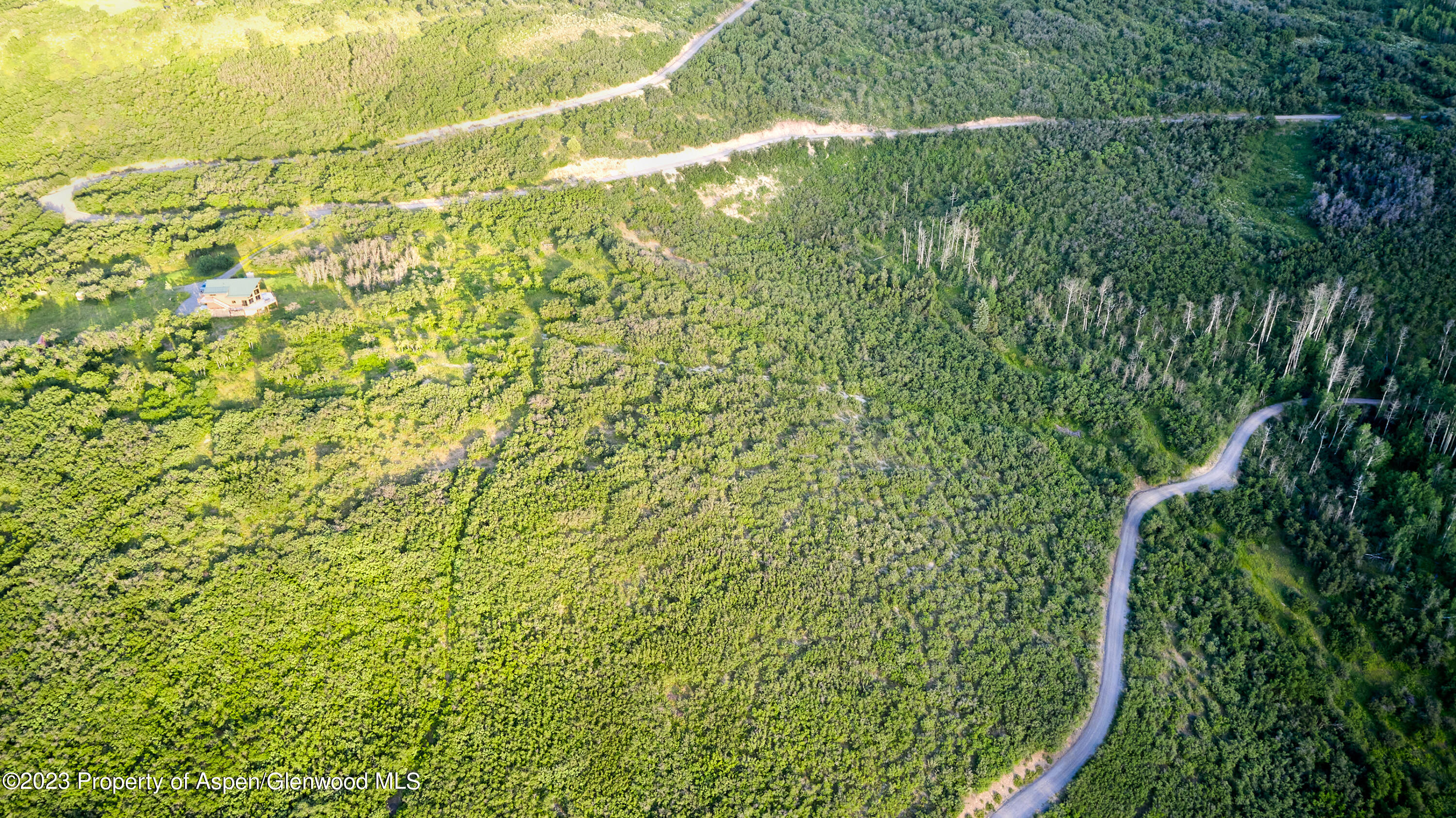 4001 Bear Ridge Road Basalt, CO 81621 - Photo 32 of 35 a close up of a plant in a garden