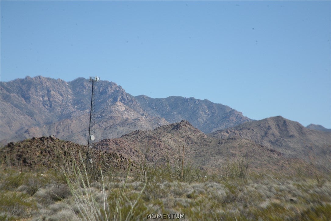 208-24-134 South Cameron Road Yucca, AZ 86438 - Photo 4 of 86 Gallery Image 4