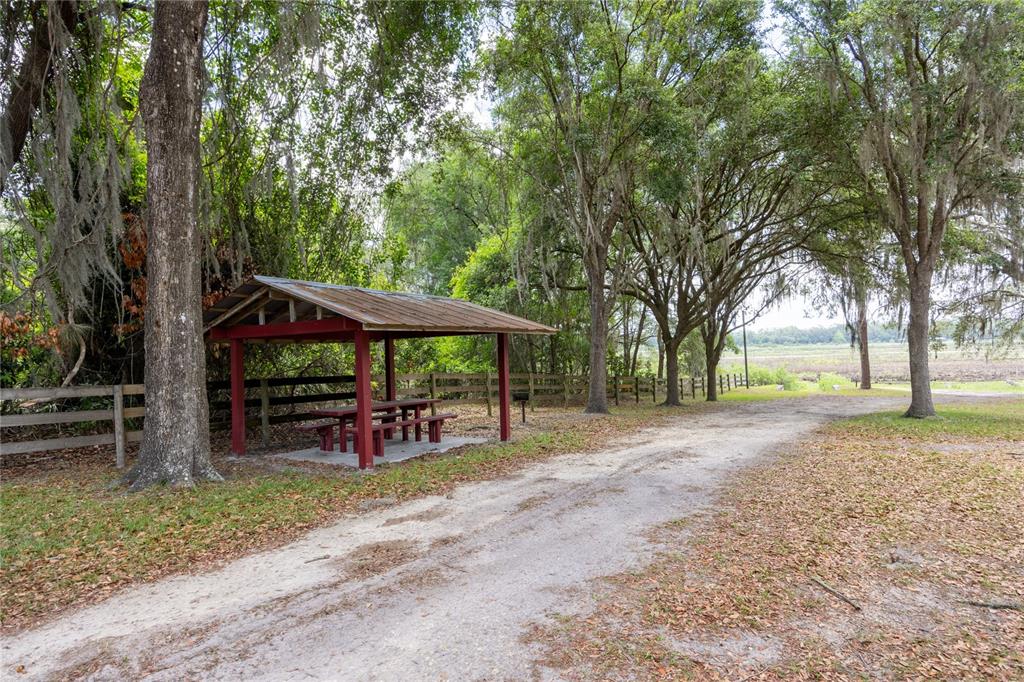4950 80 Street Chiefland, FL 32626 - Photo 63 of 68