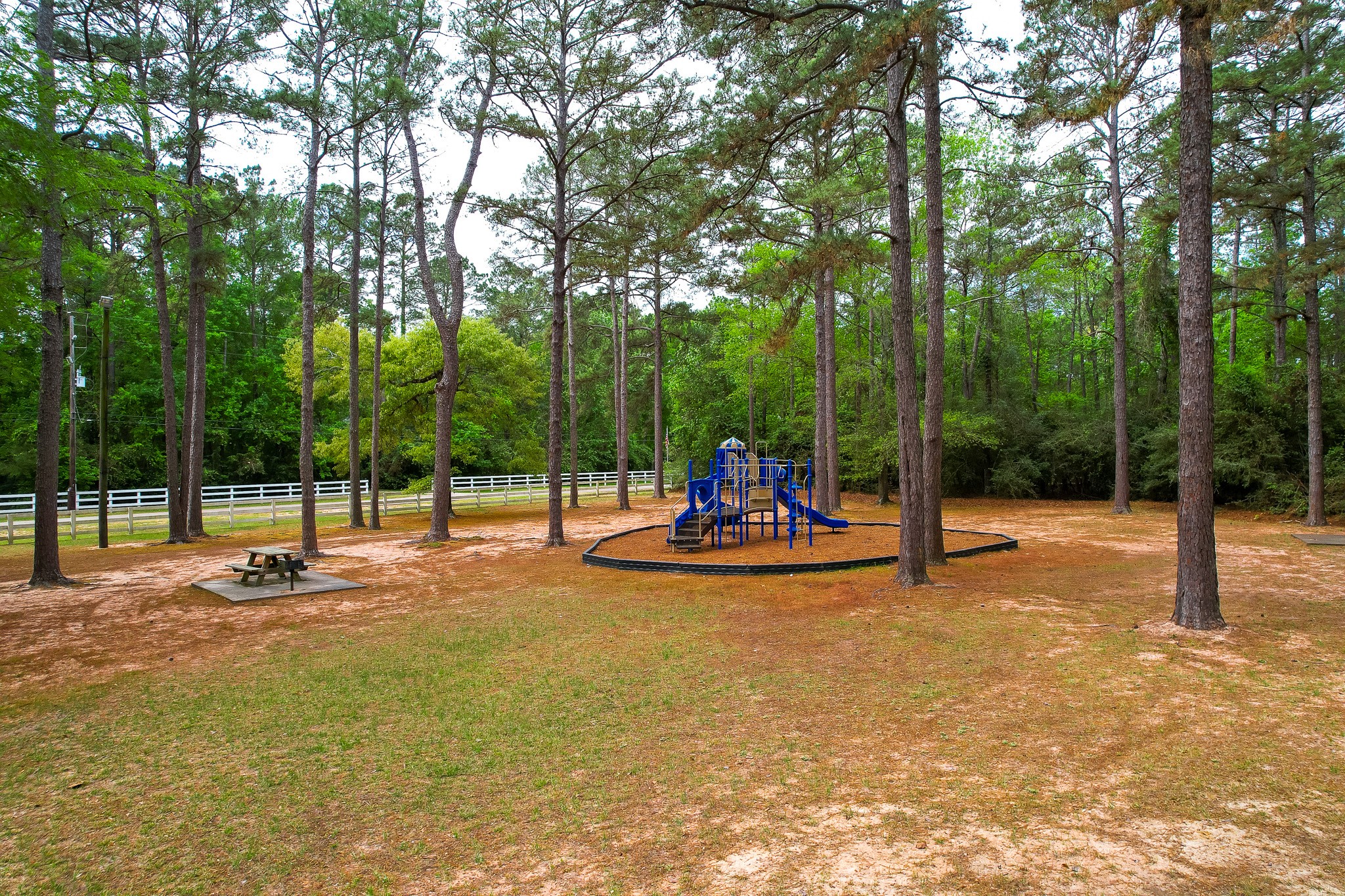 Lot 7 Ranch Trail Court Magnolia, TX 77354 - Photo 8 of 9 Community parks and playgrounds just steps from your future home