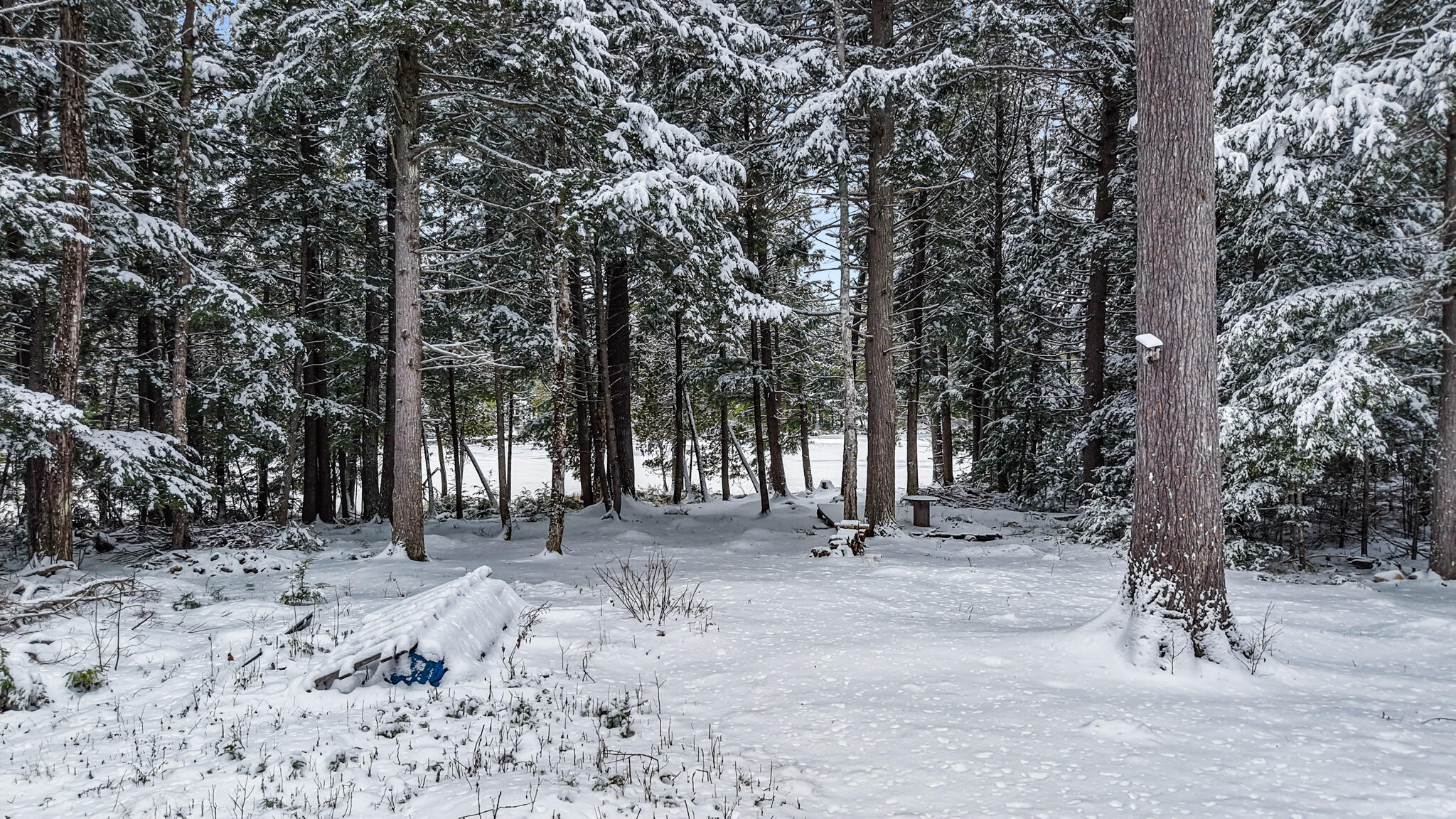 124 Dead Stream Road Lincoln, ME 04457 - Photo 16 of 18 124 Dead Stream Road, Lincoln, ME 04457