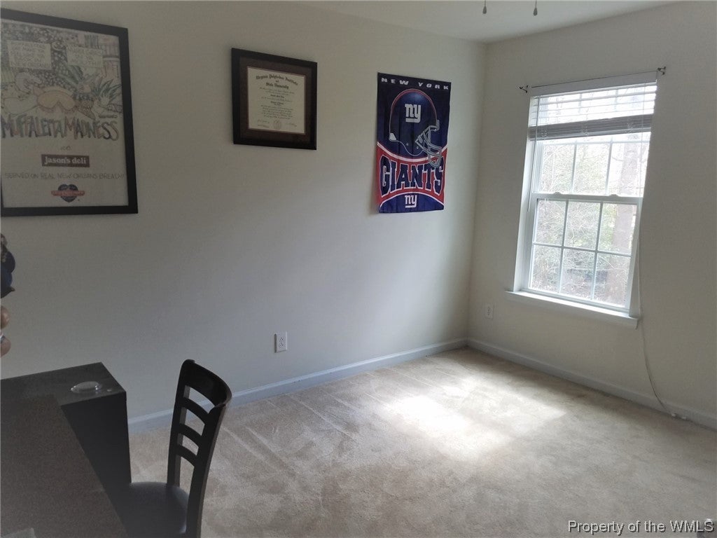 3527 Pine Ridge Road Toano, VA 23168 - Photo 16 of 21 Gallery Image 16